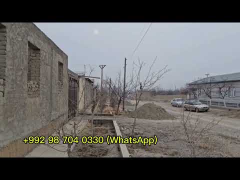 Исфара 2024 -