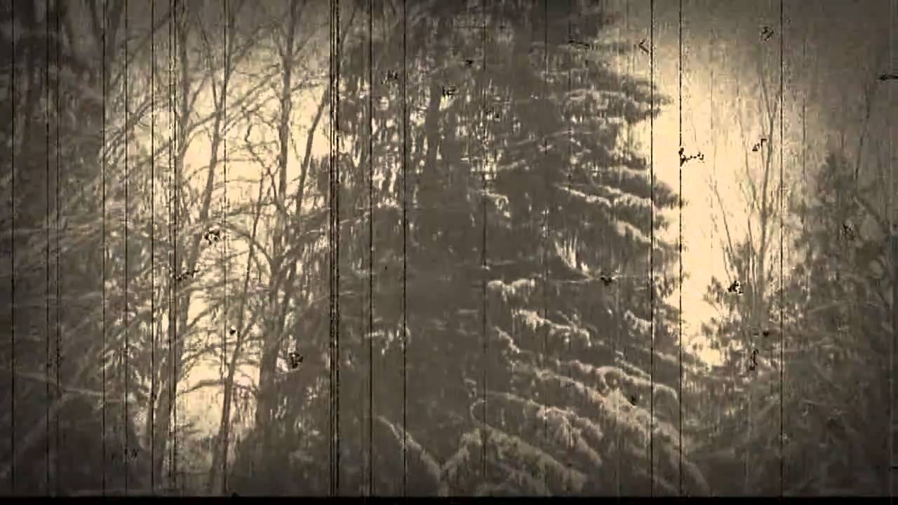 Михаил Загот. ВКонтакте - YouTube