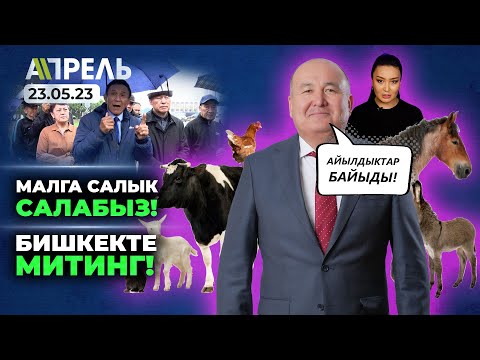 Video: Кимден салык төлөй алат?