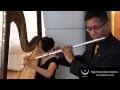 Harp and flute duo  mercedesbenz new e class launch  wwwhighnotescomsg