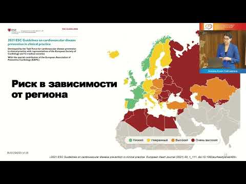 Стратификация сердечно-сосудистого риска 2022 с позиции липидного профиля и шкал SCORE / SCORE 2