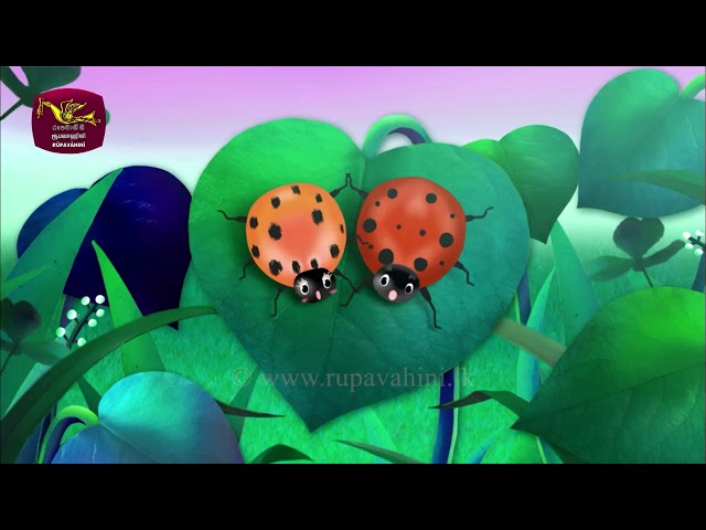 thumbnail img16x9