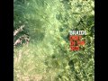 Braids Deep in the Iris Full Album 2015