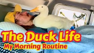 My Morning Routine - Life with a Pet Duck 🦆