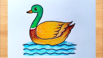 How to Draw a Duck|| Duck Drawing for Beginners|| Duck Drawing Easy