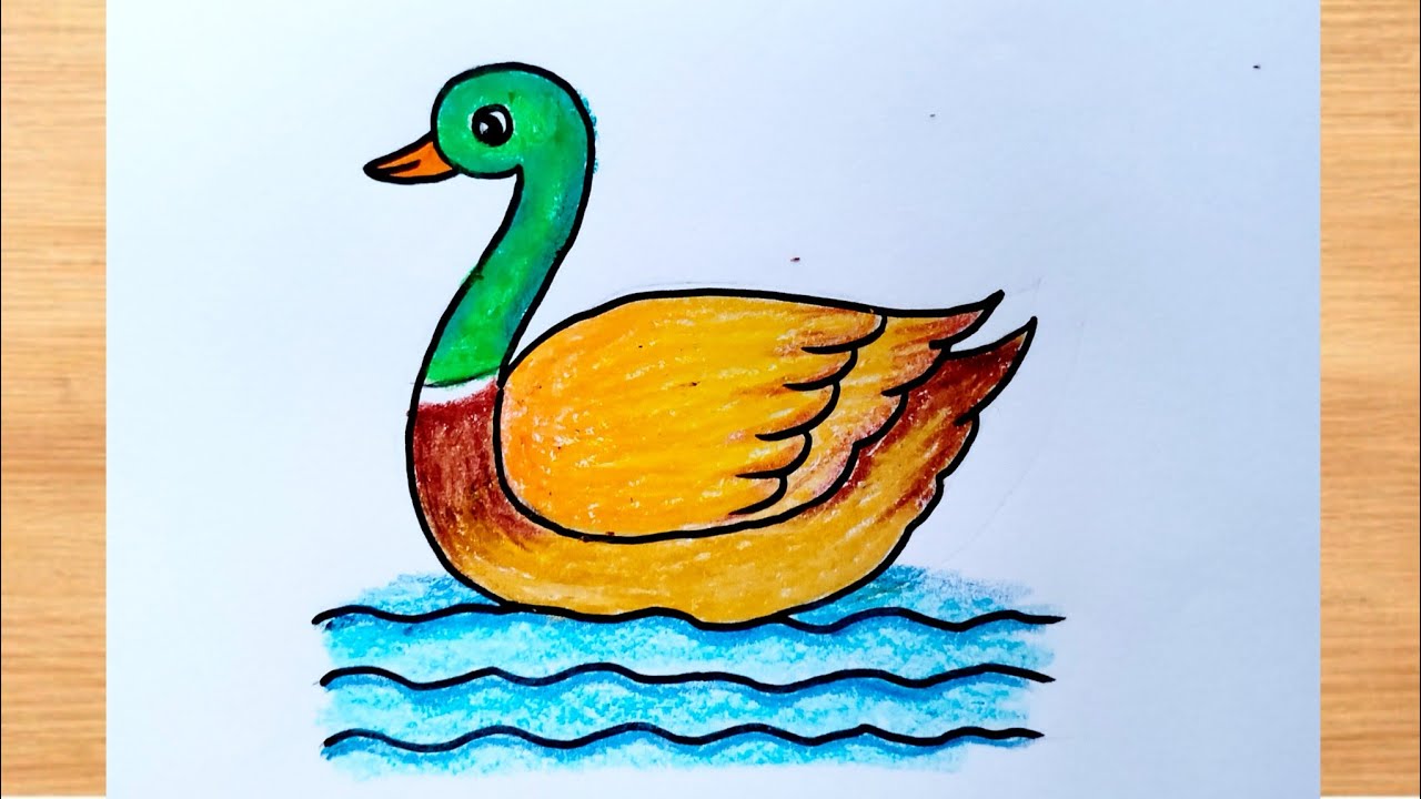 How to Draw a Duck|| Duck Drawing for Beginners|| Duck Drawing Easy ...