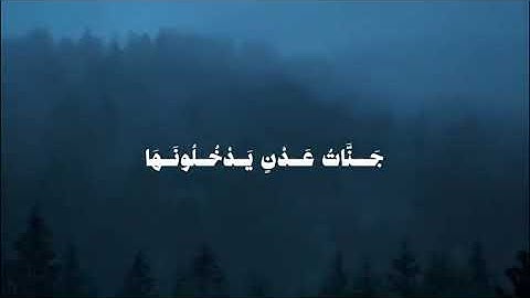 الشيخ محمد ايوب رحمه الله #قرآن #المصحف #تلاوة_خاشعة #قران_كريم #لايك #اكسبلور 