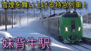 【JR函館本線】721系 789系特急ライラック・特急カムイ 妹背牛駅発車&通過集