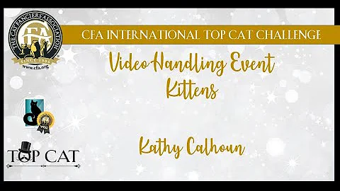 CITCC - Kathy Calhoun's Kitten - Video Event Final