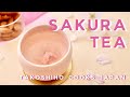 Sakura tea  spring  takoshiho cooks japan