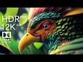 Animal colorful life in 12kr 120fps dolby vision  cinematic music dynamic color
