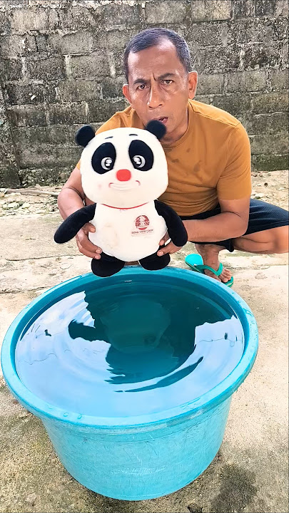 Little brother wants to swim, right? #shots #trending #funny #subscribe