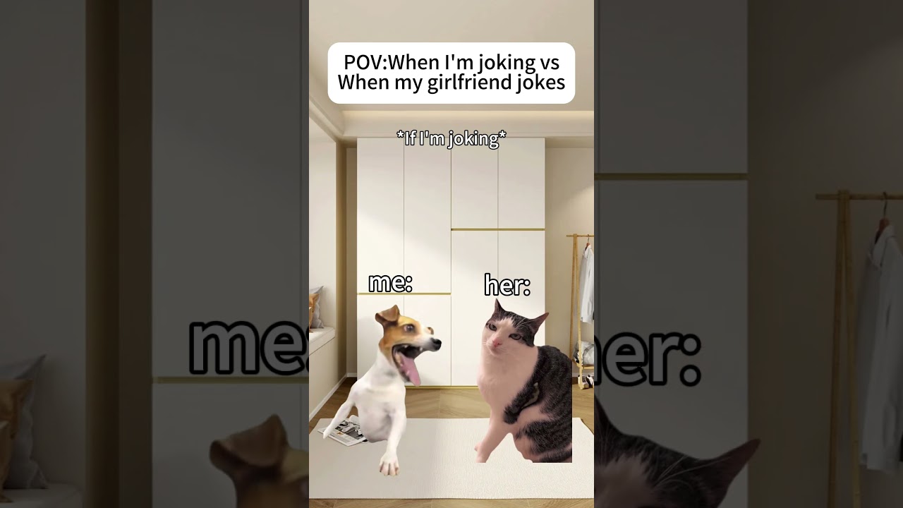 When I joke vs when my girlfriend jokes