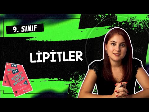 4) LİPİTLER | 9. SINIF | TYT BİYOLOJİ DERS NOTLARI | 2024