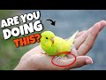 Things your bird hates about you
