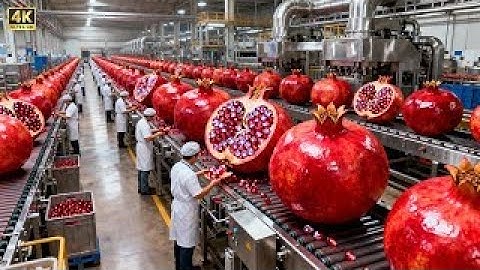 Inside a Modern Pomegranate Factory: From Raw Pomegranates to Bottled Premium Juice (Full Process)