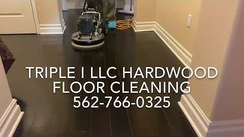 TripleILLC.com, Hardwood floor cleaning, Cleaning, Orbot Vibe