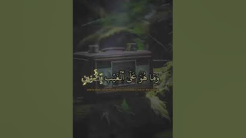 القارئ محمد علاء الدين | أواخر سورة التكوير | رواية السوسي عن أبي عمرو البصري