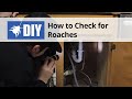 Cockroach Inspection - Learn Where Roaches Hide