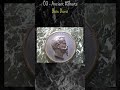 03 - SPA Ancient: Bois Durci