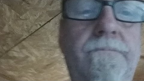 Green Tree Python Maternal Incubation Nest Cam (2018-05-14)