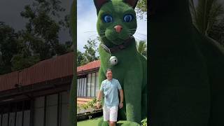 This cat is actually alive! #funny #cats #catvideos 🥰#tiktok #social #usafunny #catlovers #funpage