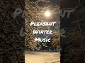 Evening #Snowfall and Pleasant #Music