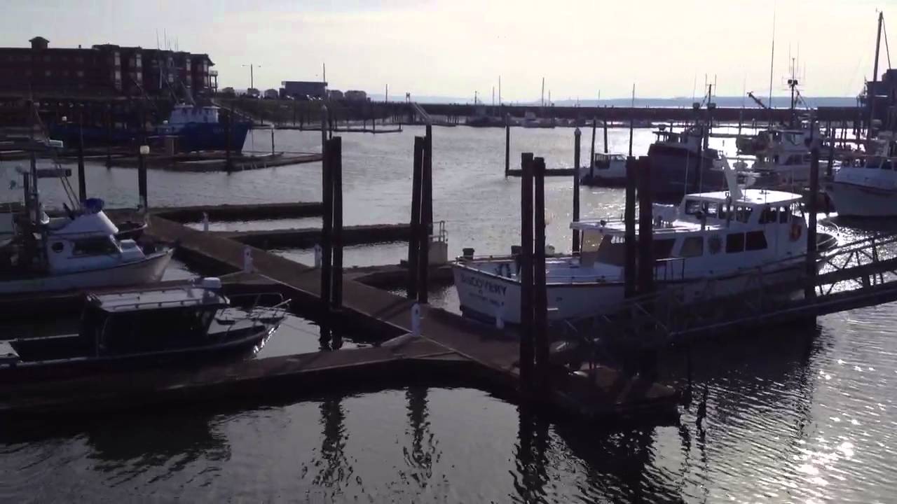 Low tide in Westport Harbor - YouTube