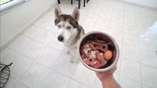 A Raw Breakfast Morning With My Husky! (Raw Food)