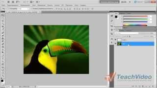 Как создать новый слой в Photoshop? Как создать новый слой в Photoshop?