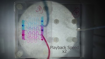 DIW microfluidic device: multi-layer microchannels