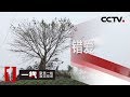 《一线》 错爱 20200410 | CCTV社会与法