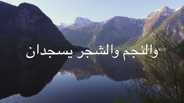 ماتيسر من سورة الرحمن -عمر الزامل-