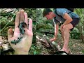 Living Treasure Hunt!!!- Searching For BEAUTIFUL Salamanders!!