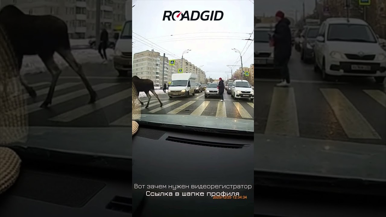 Арт. WB: 482856095 🌟 Топовый сенсор Sony 