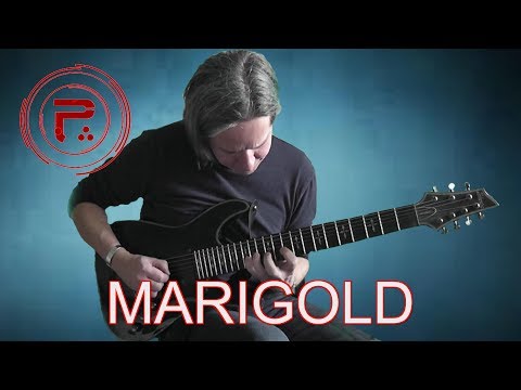 Marigold  - Periphery guitar and bass cover