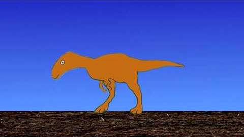 The Fossilisation Process