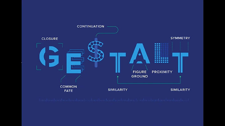 Có bao nhiêu nguyên tắc chính trong định luật gestalt năm 2024