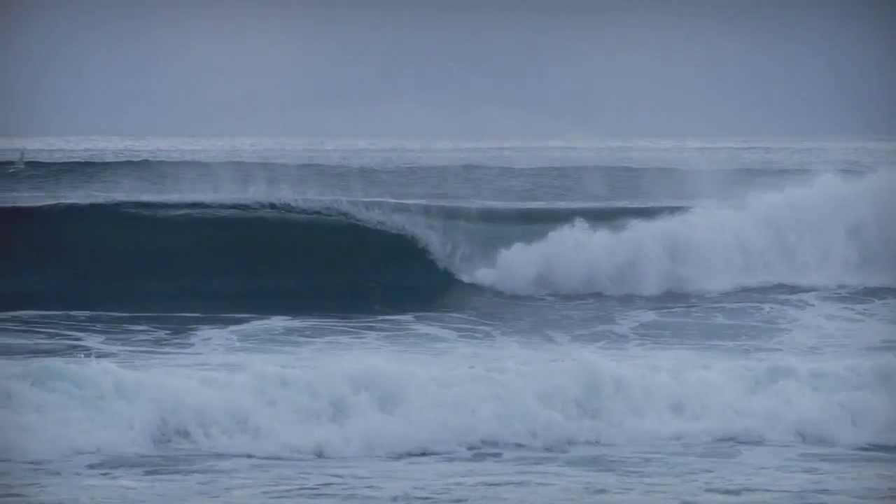 nixon surf