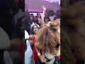 #amapiano #viral #amapianodancechallenge #trending #dance #shorts #creatorsearchinsights