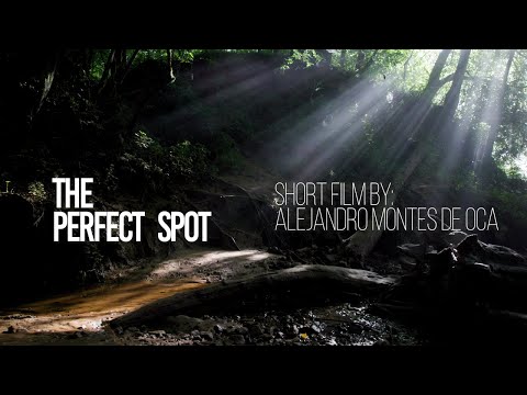 R5C Cinematic Short Film - The Perfect Spot | Alejandro Montes de Oca