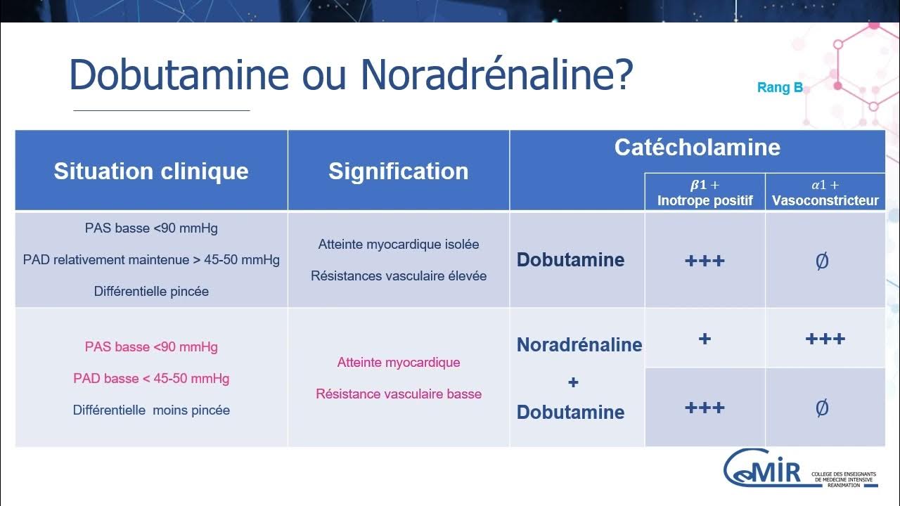 3 12 2 Choc cardiogénique choix des catécholamines et PEC du choc réfractaire YouTube