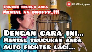 Cara memulihkan MENTAL burung trucukann | HMDN Trucuk