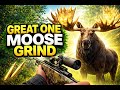 COTW Setting up for a MOOSE GREAT ONE  grind | pt.1