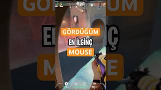 Gördüğüm En İlgi̇nç Mouse?