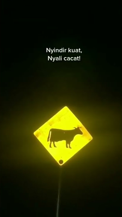 story wa keren kata kata sindiran buat temen