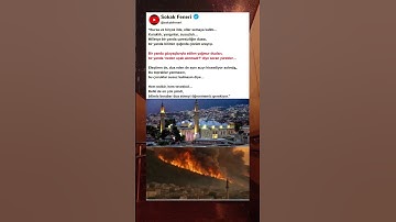 Thumbnail of Camilerde yağmur duası yapıldı.