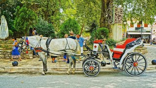 Μώλος & λίμνη Ιωαννίνων - Ioannina Epirus - New channel @np_production