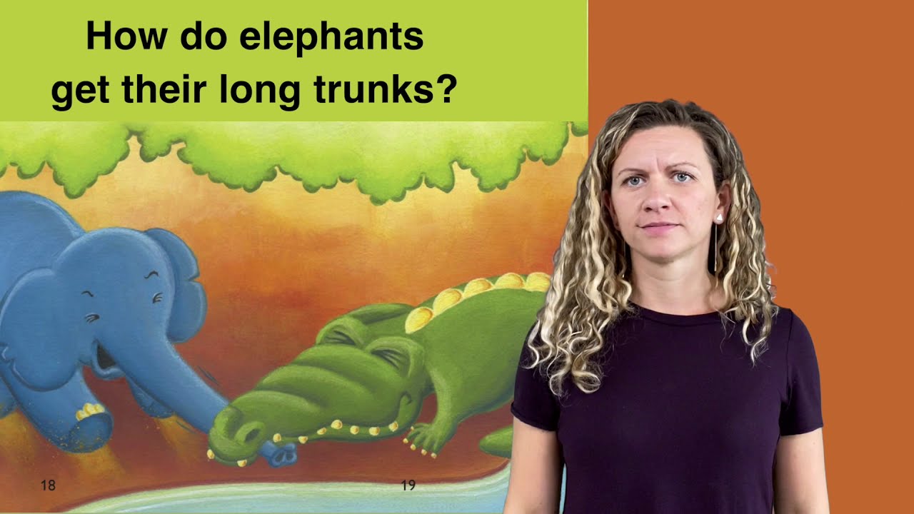 How the Elephant got its Trunk - Discussion Question 1 - YouTube