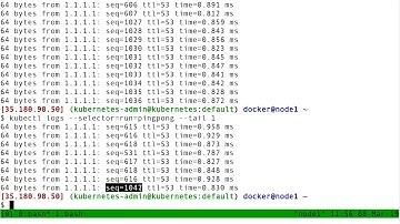 217 - Viewing logs of multiple pods